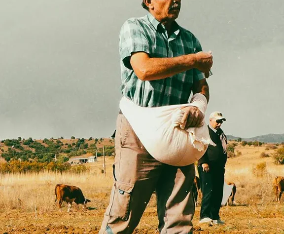 We grow fresh, organic produce using clean methods that protect nature, healthy food.